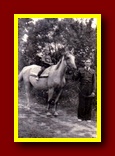 Kliknij aby powiększyć